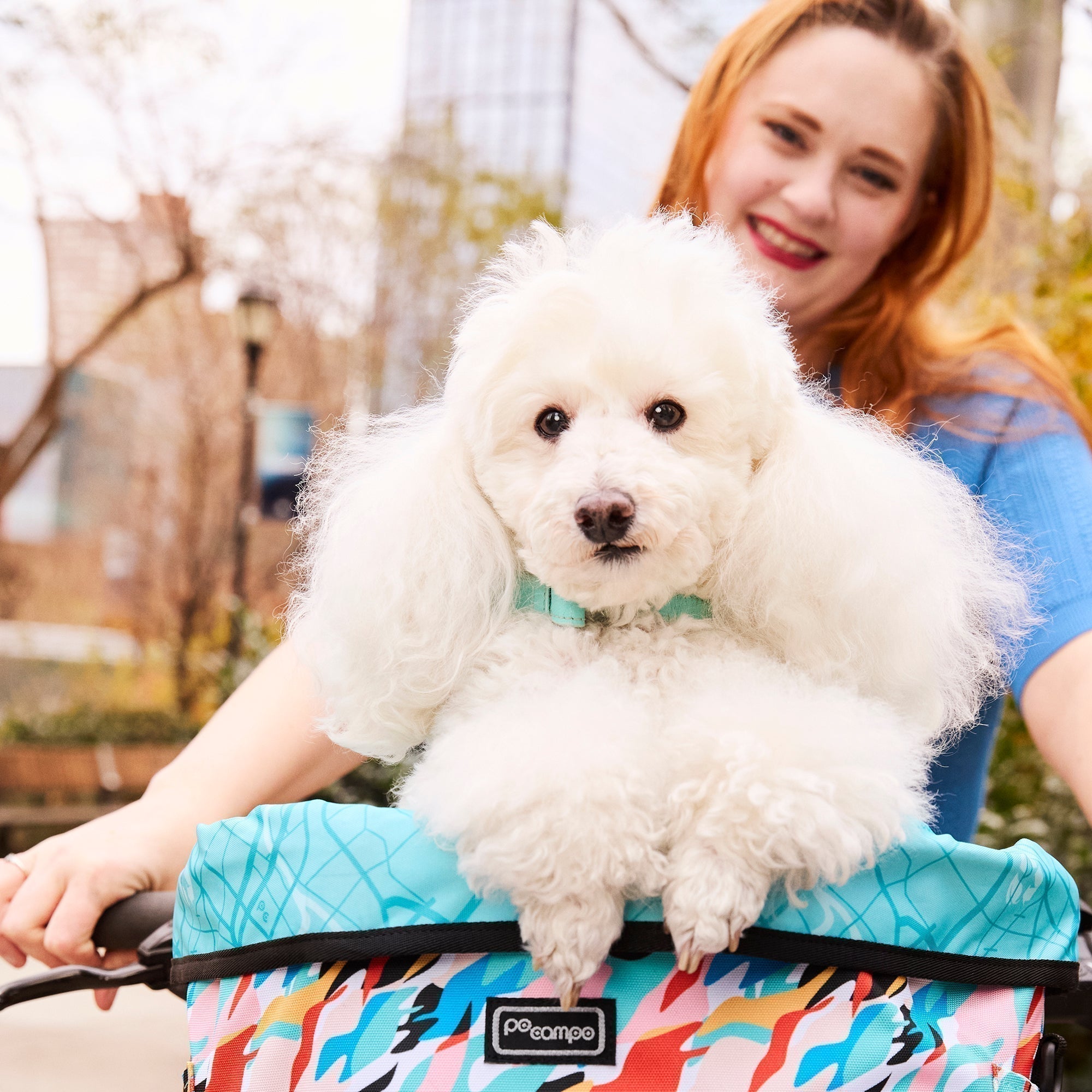 National Pet Day - A Paws-itively Joyful Day