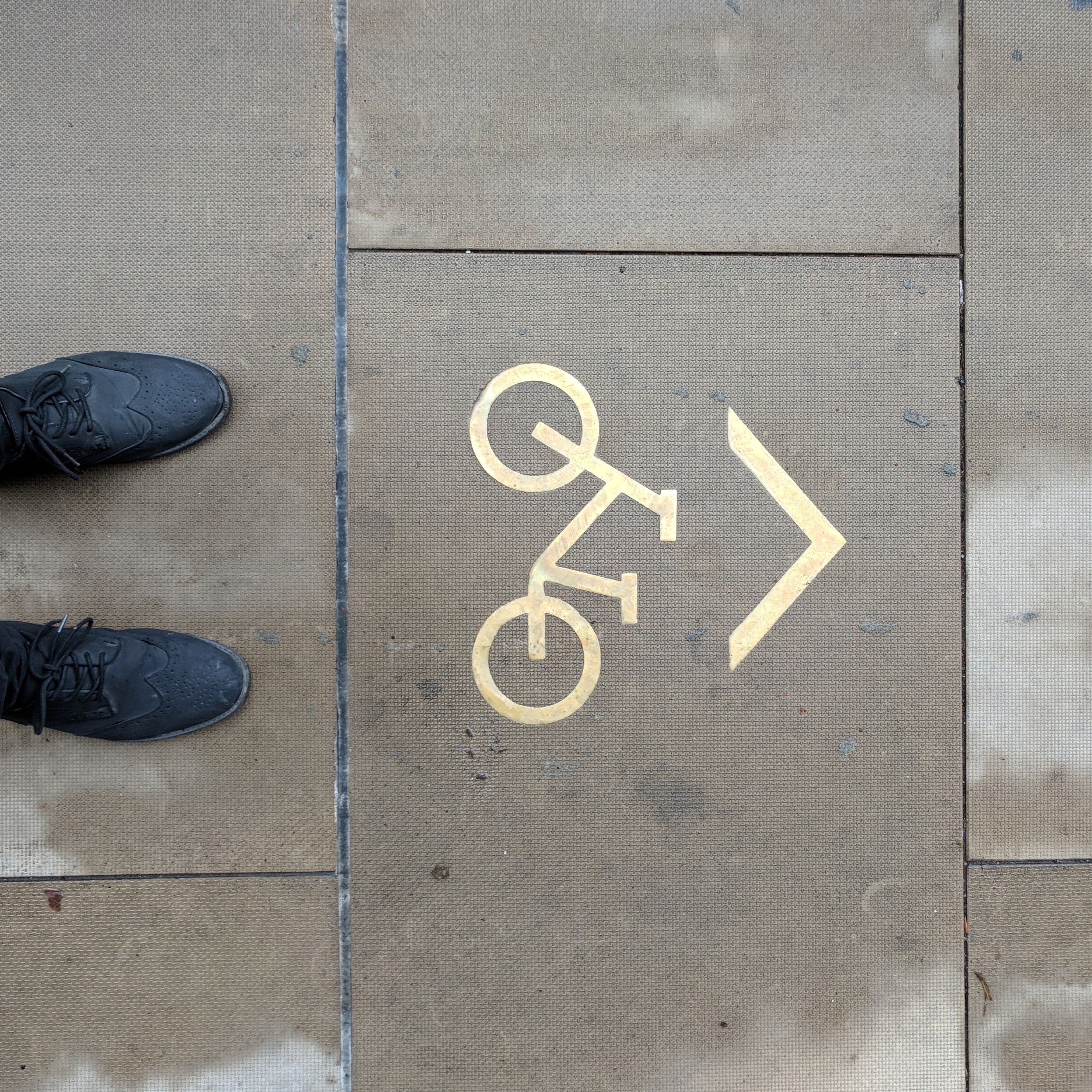 Founder Blog: Looking Forward the Year Ahead