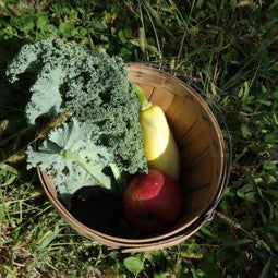 Apple Picking and Surprise Greenery in Chicago