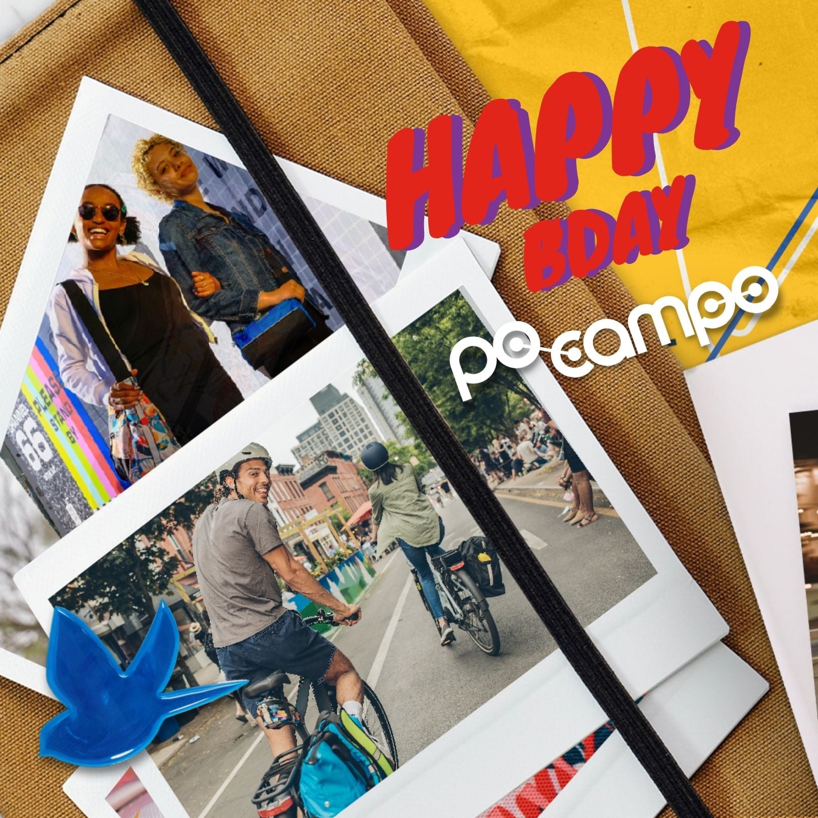 Celebrating our Past, Present and Future