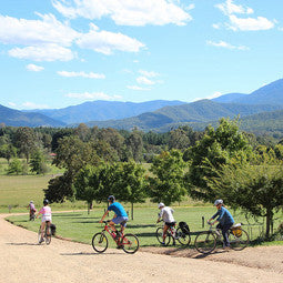 Ideas for Fun Summer Bike Trips