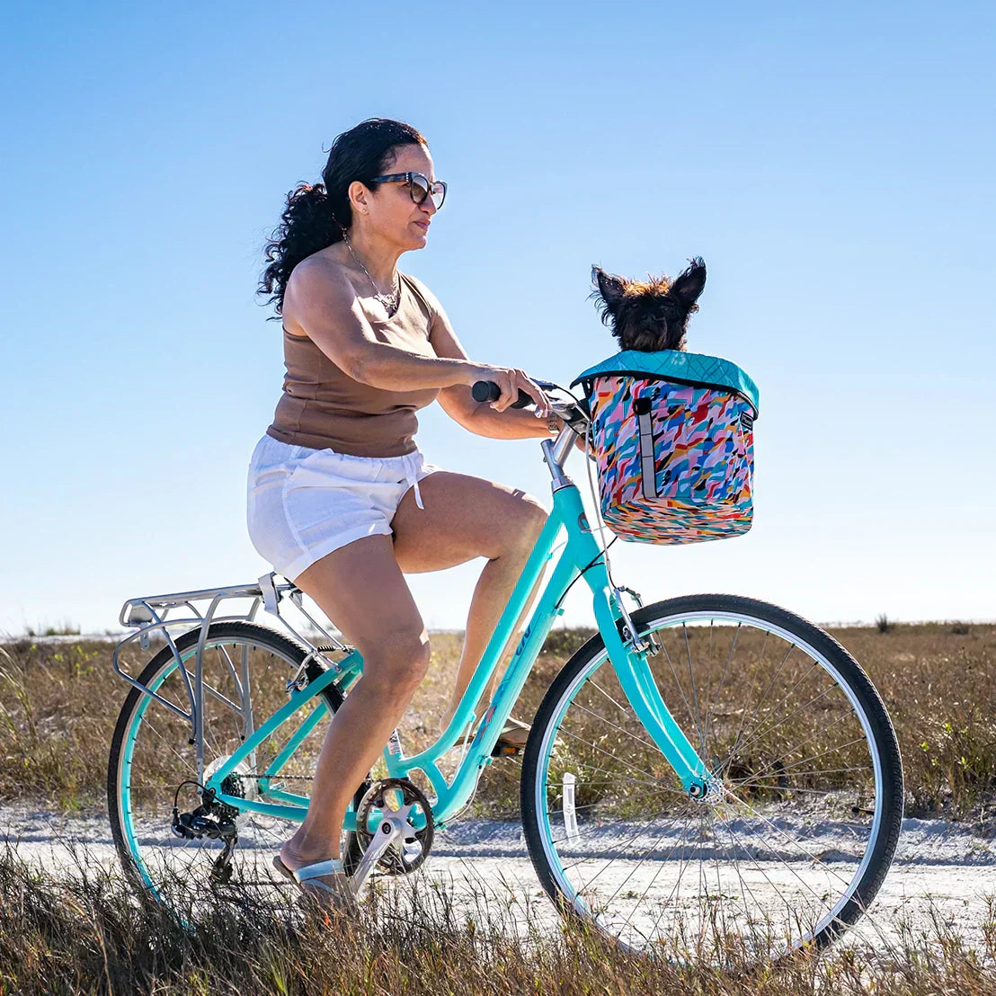 Biking With Dogs Made Easy: How to Ride Safely With Your Pup