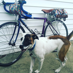 August fan photo winner