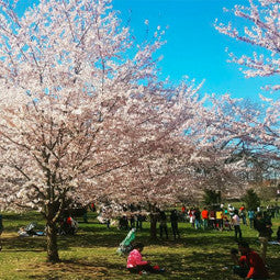 Spring 2017 Bike Style with Po Campo!