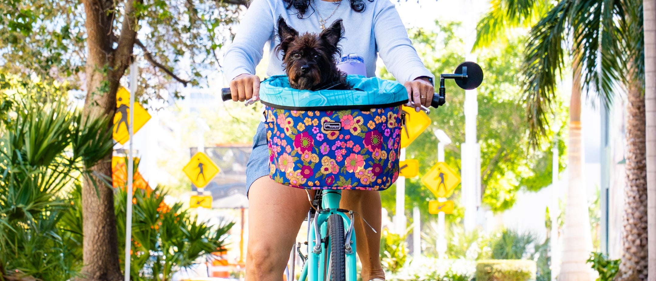 The Pinellas Dog Bike Basket – Po Campo